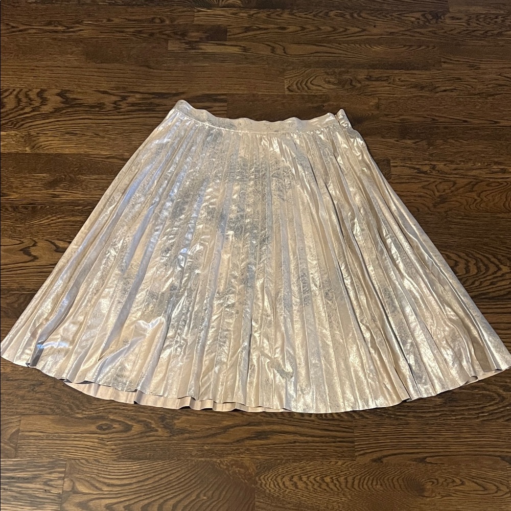 STUNNING Anthropologie Maeve Skirt NWT Size Large